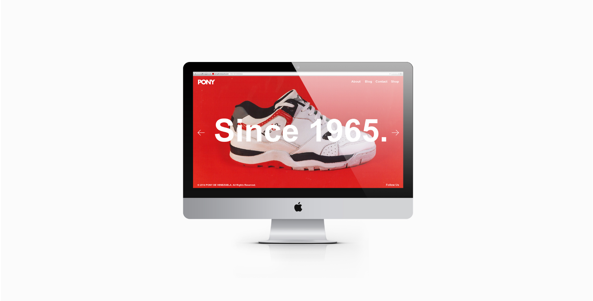 programacion de plataforma web para pony